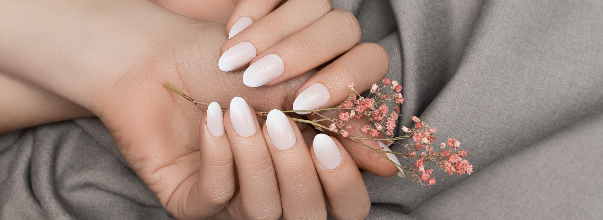 Female hands with white nail design. Female hands holding pink autumn flower. Woman hands on grey fabrick background